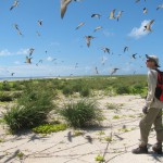 Amateurs and volunteers working and learning alongside professionals in citizen science projects